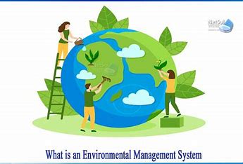 The Benefits of Environmental Management: Enhancing Sustainability and Business Performance