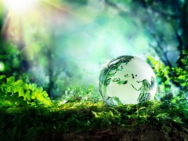 The Impact of Enviromental Consultants on Environmental Policy and Regulation