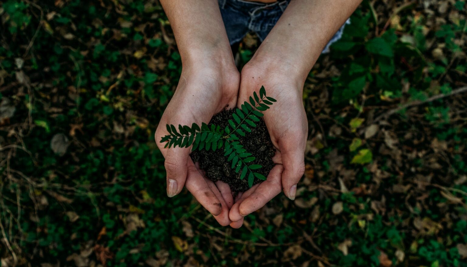 The Power of Collaborating with Environmental Consultants for Environmental Solutions