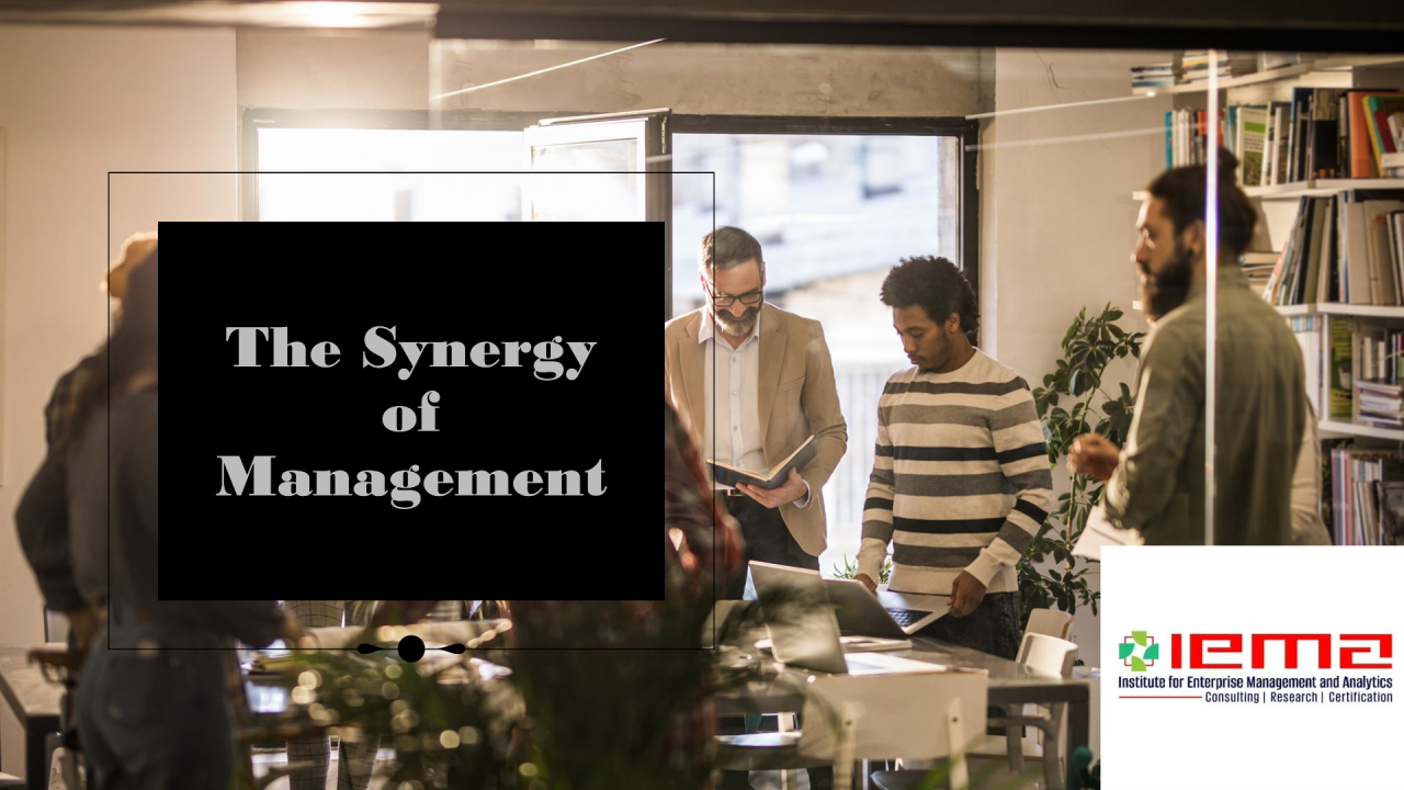 THE SYNERGY BETWEEN ENTERPRISE MANAGEMENT AND HUMAN RESOURCE MANAGEMENT