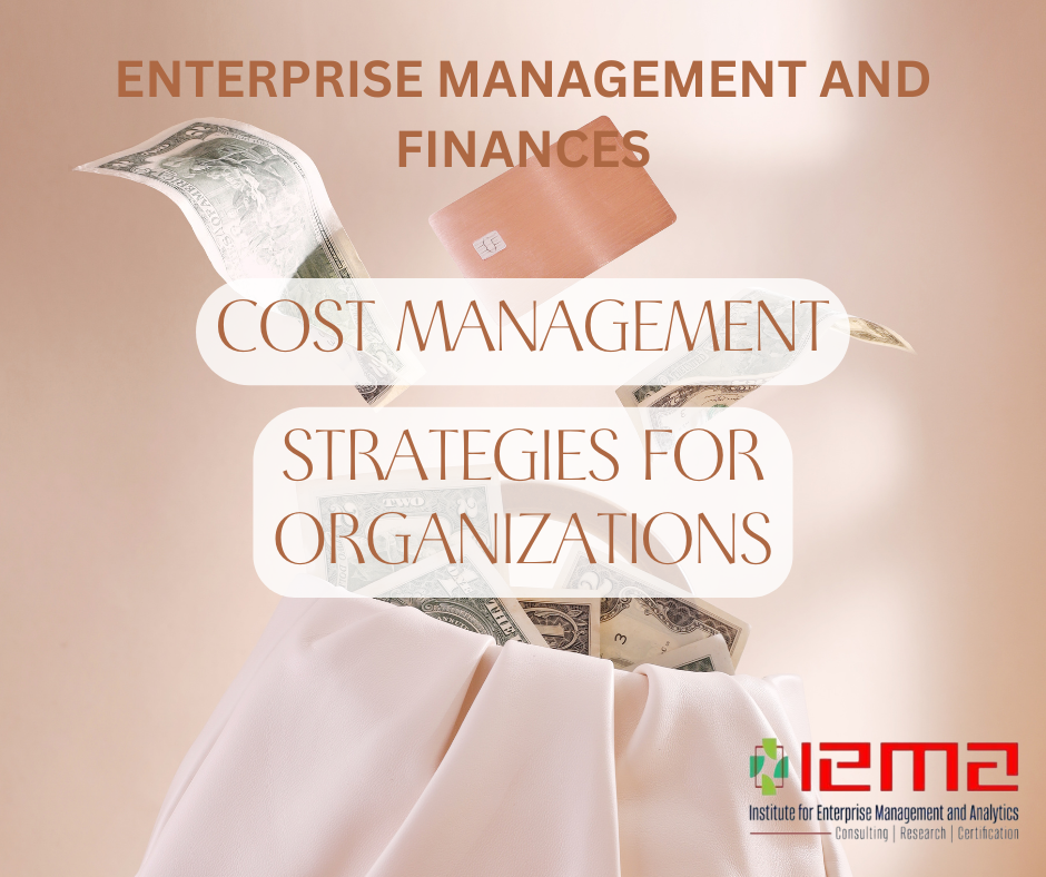 Cost Management Strategies for Large Organizations: